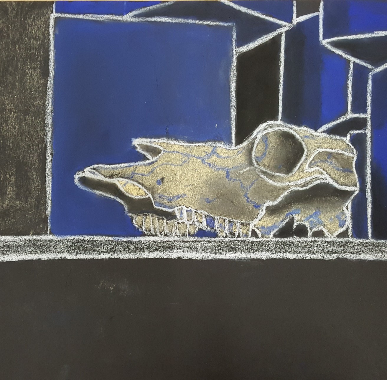 A cow skull on a table in front of a stack of blue boxes